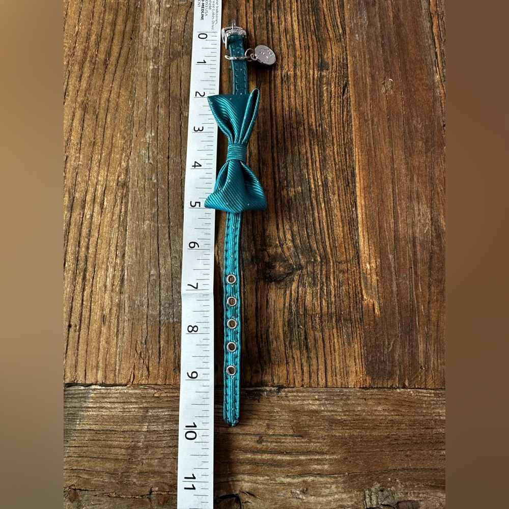 Elegant Teal Dog Collar with Bow